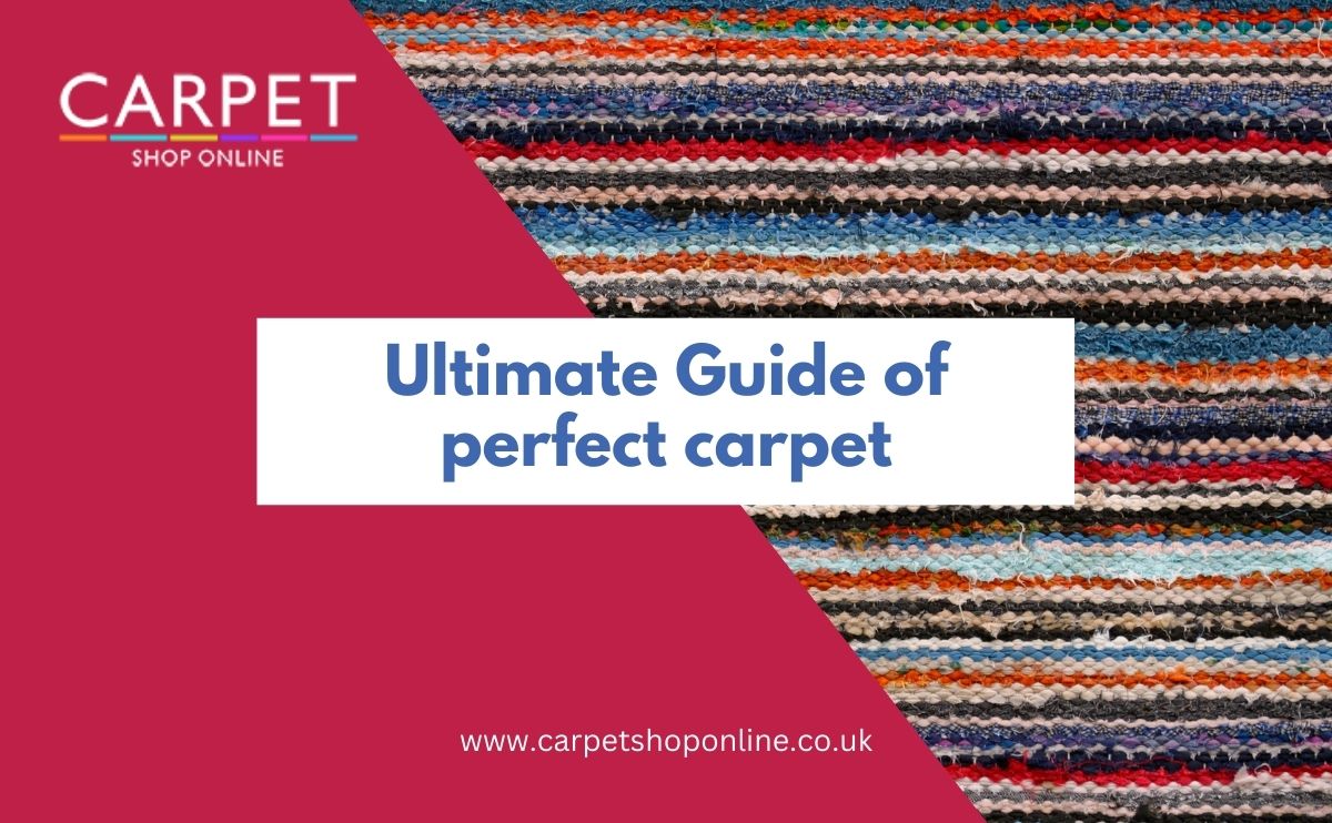 Ultimate Guide of perfect carpet